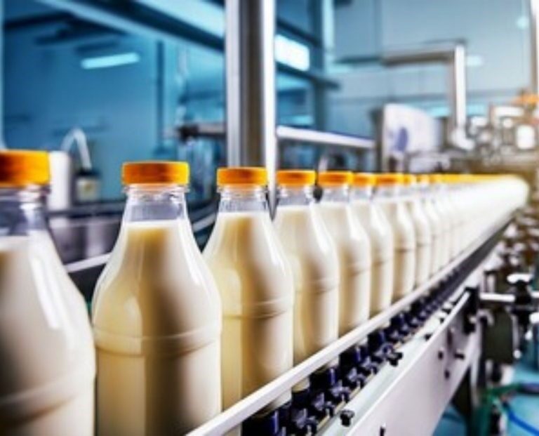 As 10 maiores empresas de laticínios do Brasil