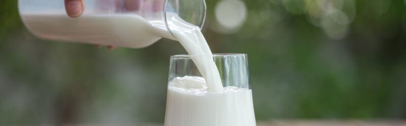 Paraná proíbe reconstituição de leite em pó importado