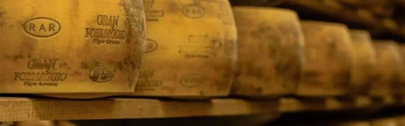 Do pomar ao queijo a verticalização que move a RAR