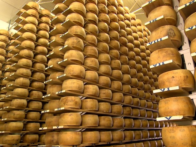 Fazenda do Rio Grande do Sul é referência na produção do queijo tipo grana padano