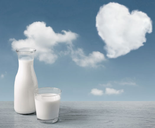 Magnésio no leite: um mineral negligenciado?