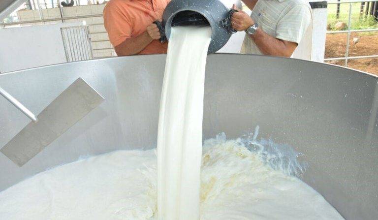 Preço do leite ao produtor cai 28% nos últimos 12 meses, diz Embrapa