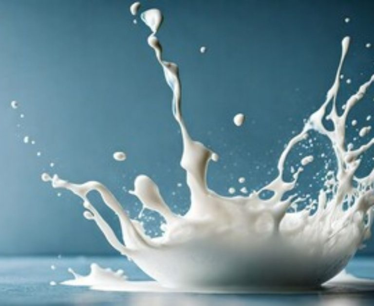 Os benefícios do leite e de seus derivados segundo as Associações Brasileiras de Nutrologia e de Nutrição