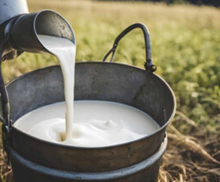 Importações pressionam leite gaúcho e derrubam preço ao produtor