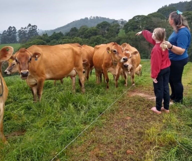Santa Catarina avança com protagonismo na produção de leite e já responde por 13% do leite inspecionado no país.