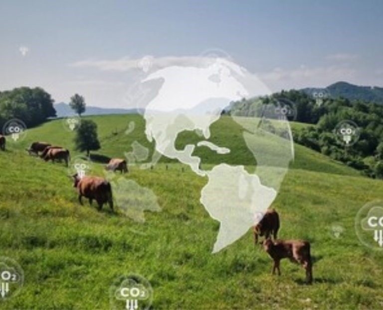 Alvoar Lácteos investe R$1,6 milhão para reduzir pegada de carbono