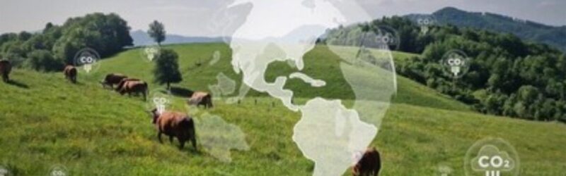 Alvoar Lácteos investe R$1,6 milhão para reduzir pegada de carbono