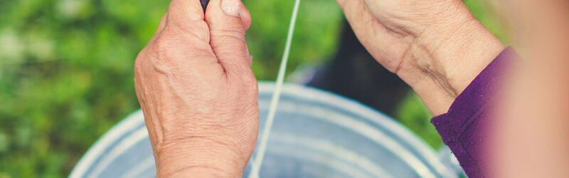 Redução de incentivos fiscais federais não deve causar impacto no Programa Mais Leite Saudável