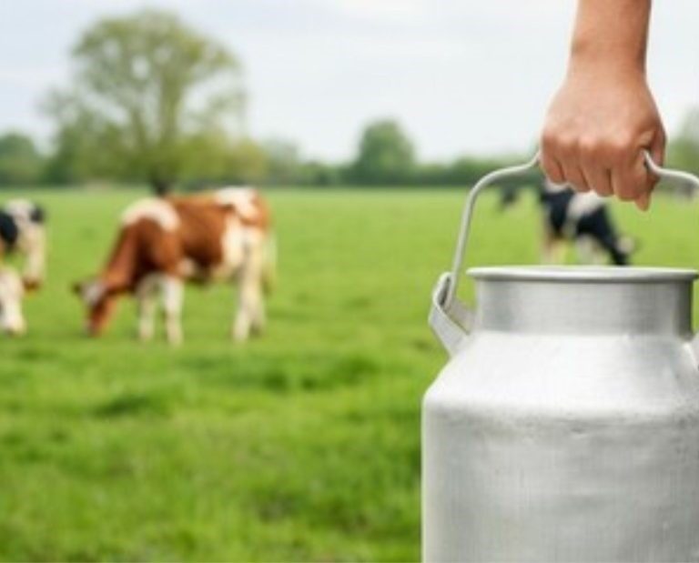 Produção histórica  de leite  coincide com importações elevadas e queda de preços ao produtor 📊