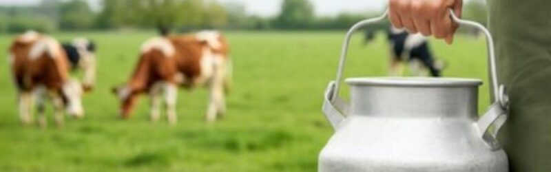 Produção histórica  de leite  coincide com importações elevadas e queda de preços ao produtor 📊