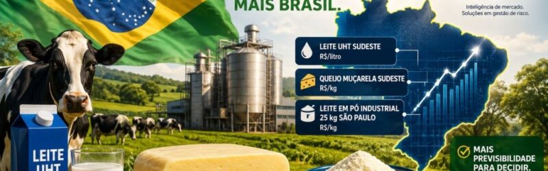 Novos indicadores do Cepea sinalizam um movimento de busca por mais previsibilidade dentro da cadeia láctea brasileira.