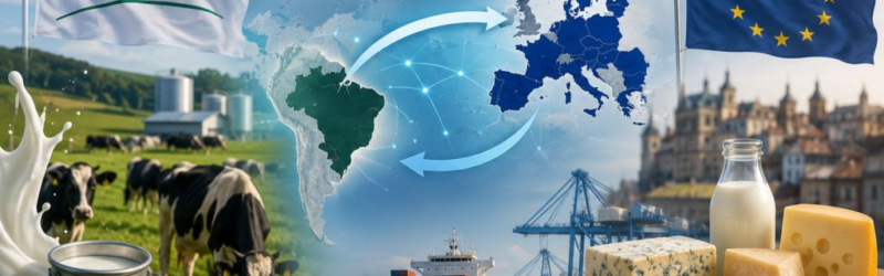 Acordo Mercosul União Europeia impõe novo teste de competitividade para a cadeia láctea brasileira.